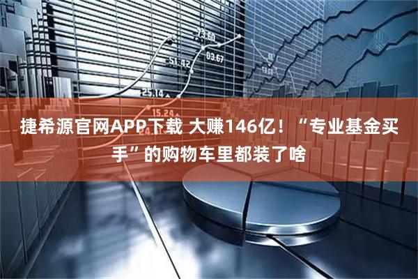 捷希源官网APP下载 大赚146亿!“专业基金买手”的购物车里都装了啥