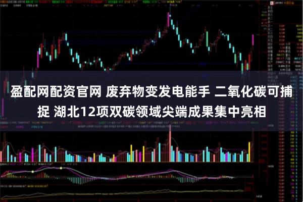 盈配网配资官网 废弃物变发电能手 二氧化碳可捕捉 湖北12项双碳领域尖端成果集中亮相