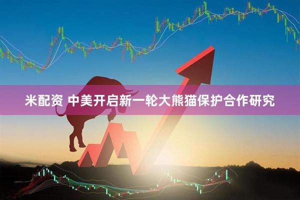 米配资 中美开启新一轮大熊猫保护合作研究